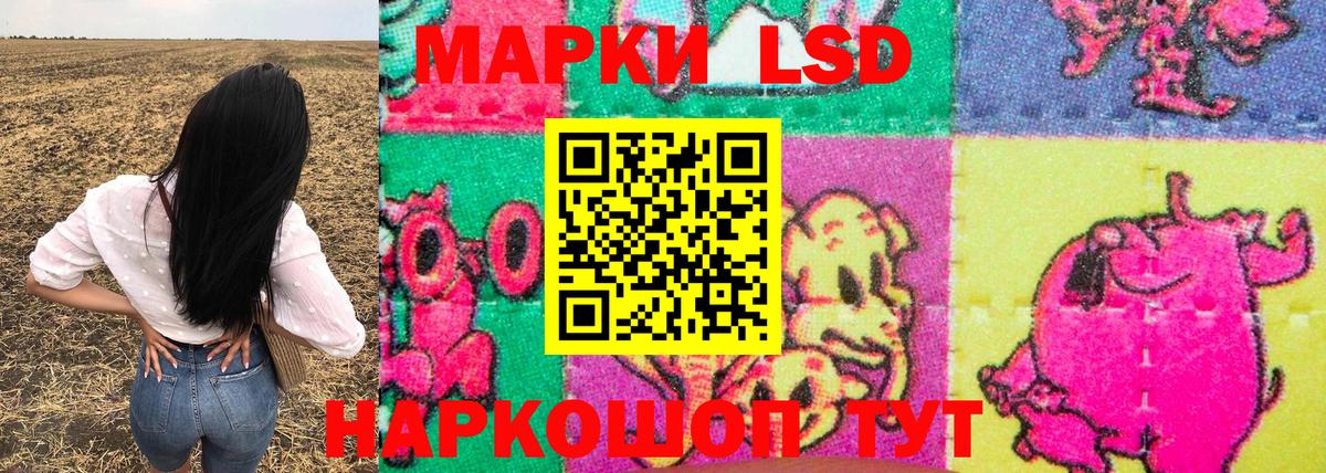 где найти   Наркотические марки 1,5мг  Наркотические марки 1,5мг  Вход с VPN  Алексин 