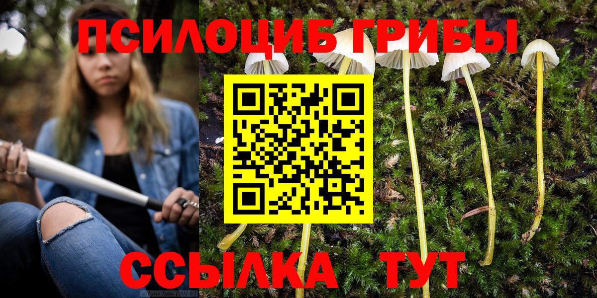 Псилоцибиновые грибы прущие грибы  Вход с VPN  где продают   Алексин 