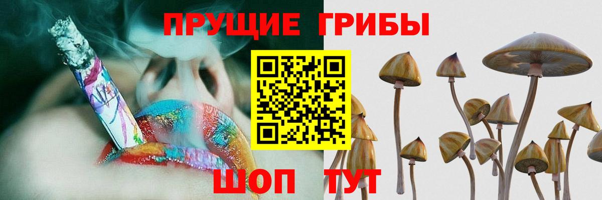 Галлюциногенные грибы прущие грибы Алексин